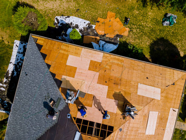 Best Roof Gutter Cleaning  in Kahaluu, HI